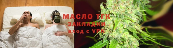 прущие грибы Алзамай