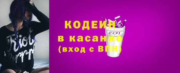 прущие грибы Алзамай