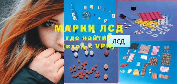 прущие грибы Алзамай