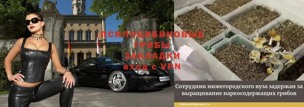 спиды Алексеевка