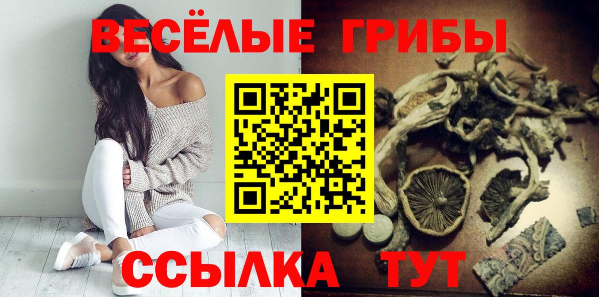 Псилоцибиновые грибы Psilocybine cubensis Гусь-Хрустальный