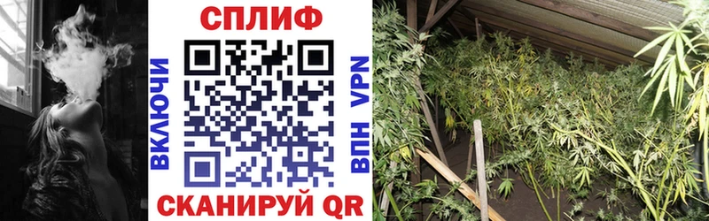 где купить   Гусь-Хрустальный  Марихуана AK-47 